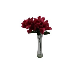 ROSAL ABIERTO FUCSIA CON GYPSO X6