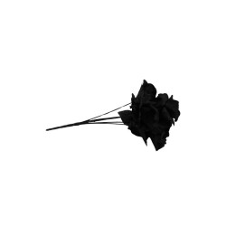 ROSAL ABIERTO NEGRO X7