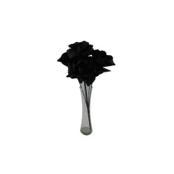 ROSAL ABIERTO NEGRO X7