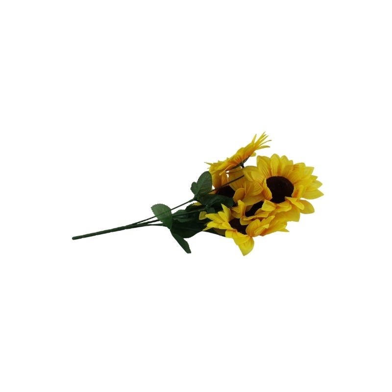 GIRASOL X5