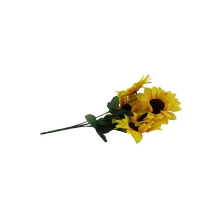 GIRASOL X5