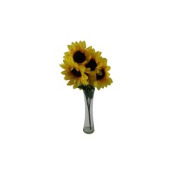 GIRASOL X5