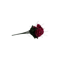 CLAVEL FUCSIA X7