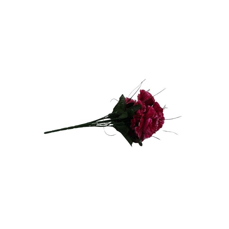 CLAVEL FUCSIA X7