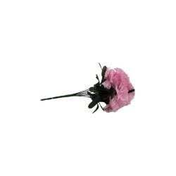 CLAVEL ROSA X7