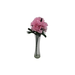 CLAVEL ROSA X7