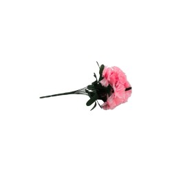 CLAVEL ROSA X7