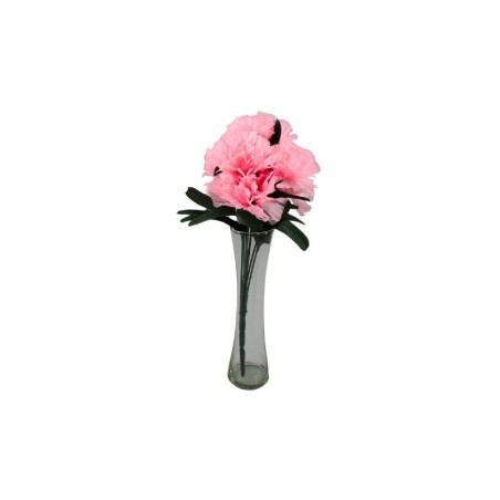 CLAVEL ROSA X7