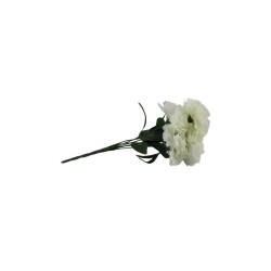 CLAVEL IVORY X7