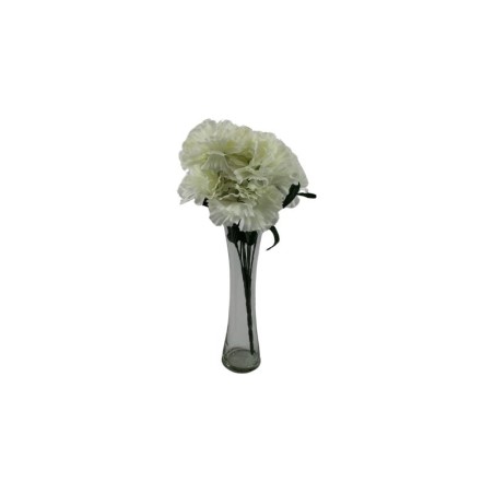 CLAVEL IVORY X7