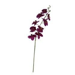 ORQUÍDEA MARIPOSA TALLO LARGO X9