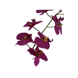 ORQUÍDEA MARIPOSA TALLO LARGO X9