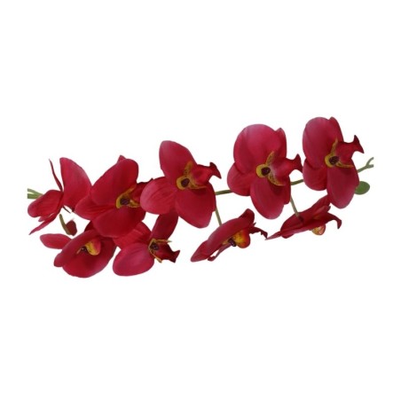 ORQUÍDEA MARIPOSA TALLO LARGO X9