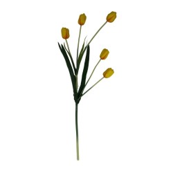 TULIPÁN TALLO LARGO SURTIDO