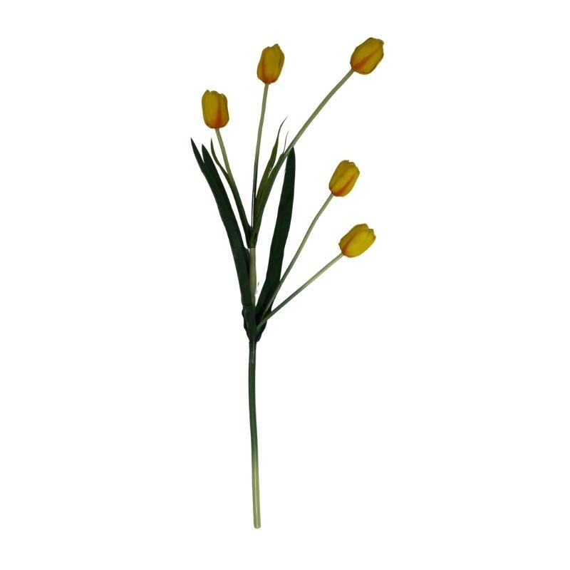 TULIPÁN TALLO LARGO SURTIDO