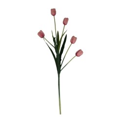 TULIPÁN TALLO LARGO SURTIDO