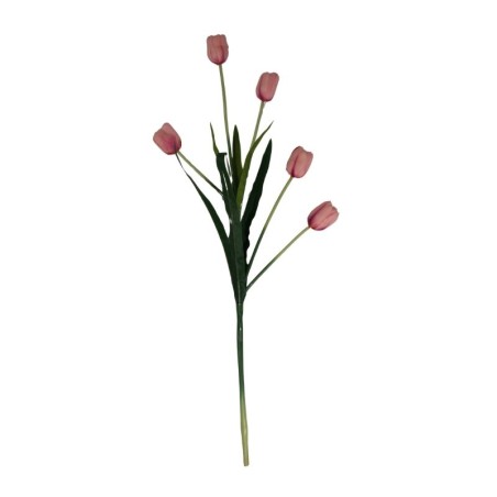 TULIPÁN TALLO LARGO SURTIDO