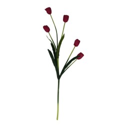 TULIPÁN TALLO LARGO SURTIDO