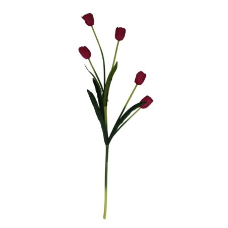TULIPÁN TALLO LARGO SURTIDO