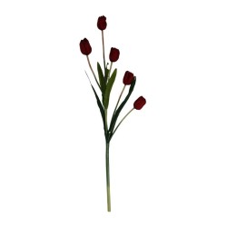 TULIPÁN TALLO LARGO SURTIDO