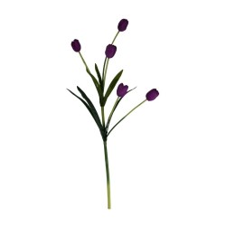 TULIPÁN TALLO LARGO SURTIDO
