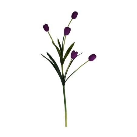 TULIPÁN TALLO LARGO SURTIDO