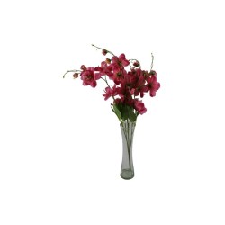 RAMO DE ORQUÍDEA SURTIDO X25