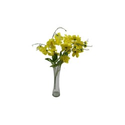 RAMO DE ORQUÍDEA SURTIDO X25