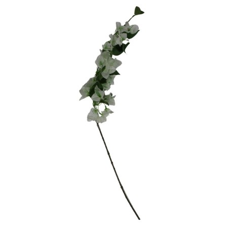 BUGAMBILIA TALLO LARGO SURTIDA