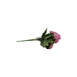ROSAS SURTIDAS X10