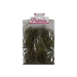 MUSGO VERDE NATURAL PALMISS