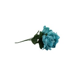ROSAL ABIERTO TURQUESA CON GYPSO X6