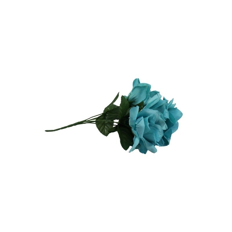 ROSAL ABIERTO TURQUESA CON GYPSO X6