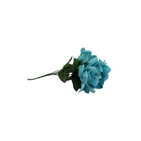 ROSAL ABIERTO TURQUESA CON GYPSO X6