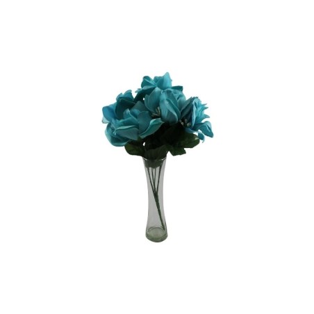 ROSAL ABIERTO TURQUESA CON GYPSO X6