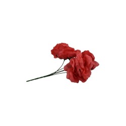 ROSAL ABIERTO CORAL X5