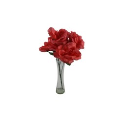 ROSAL ABIERTO CORAL X5