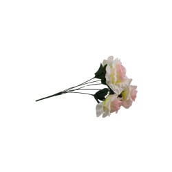 ROSAL ABIERTO ROSA/CREMA X5