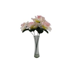 ROSAL ABIERTO ROSA/CREMA X5