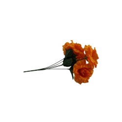 ROSAL ABIERTO NARANJA X5