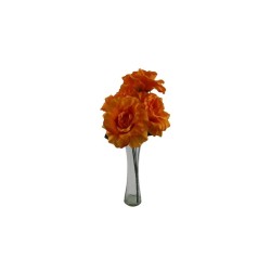 ROSAL ABIERTO NARANJA X5