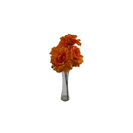 ROSAL ABIERTO NARANJA X5