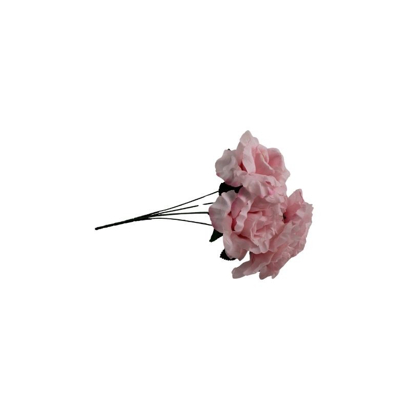 ROSAL ABIERTO ROSA X5