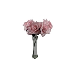 ROSAL ABIERTO ROSA X5