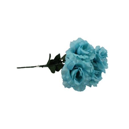 ROSAL ABIERTO TURQUESA X5