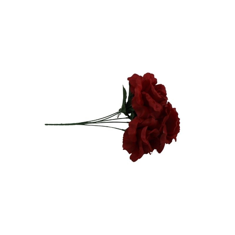ROSAL ABIERTO ROJO X5
