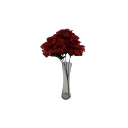 ROSAL ABIERTO ROJO X5