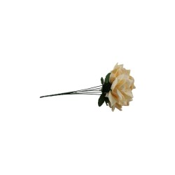 ROSAL ABIERTO CREMA X5