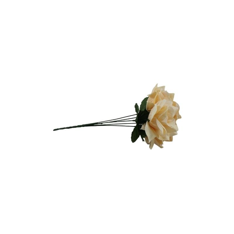 ROSAL ABIERTO CREMA X5