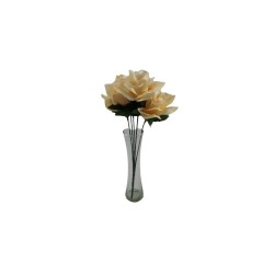ROSAL ABIERTO CREMA X5